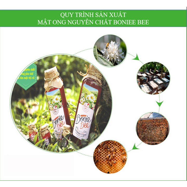 Mật ong hoa cà phê nguyên chất Bonie Bee Classic 380g