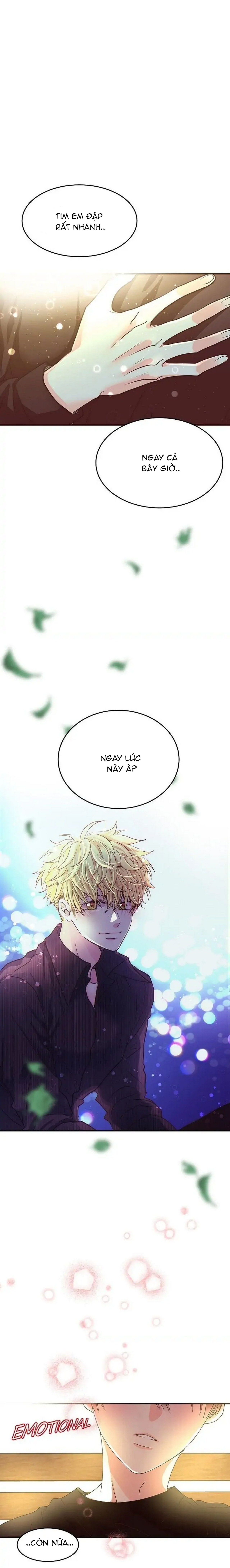 mối quan hệ phù hợp chapter 8 19