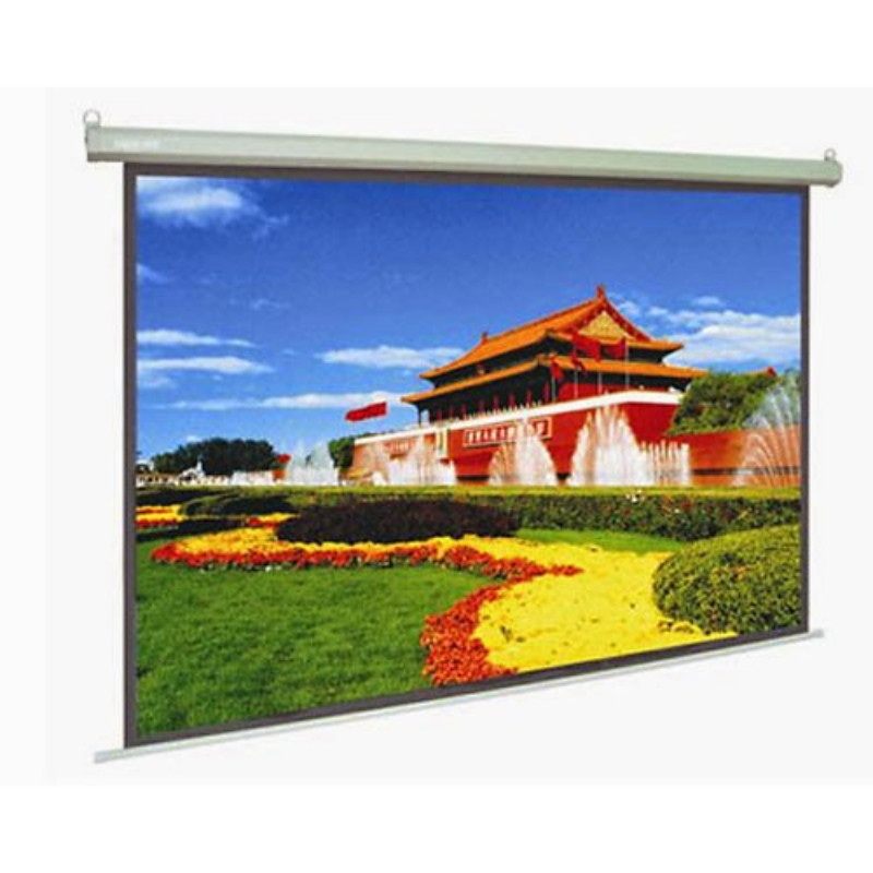 Màn chiếu treo tường Dalite 120x120 Inches - Hàng nhập khẩu