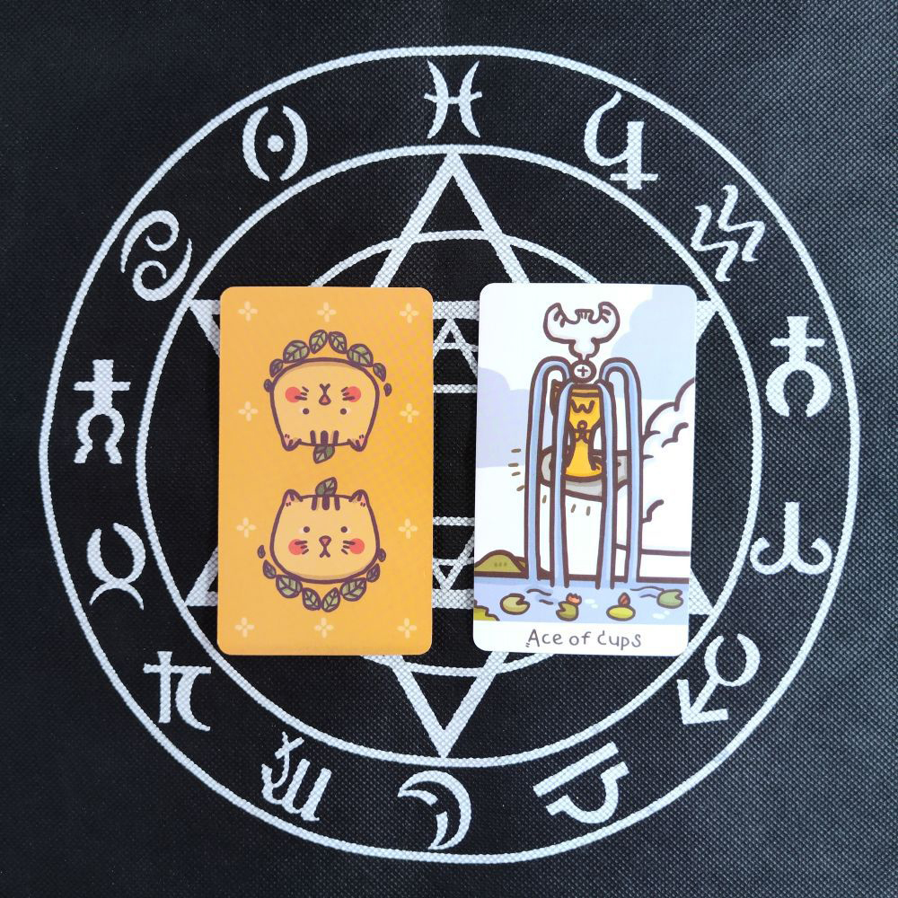 Bộ Bài Cattitude Tarot 79 Lá Bài