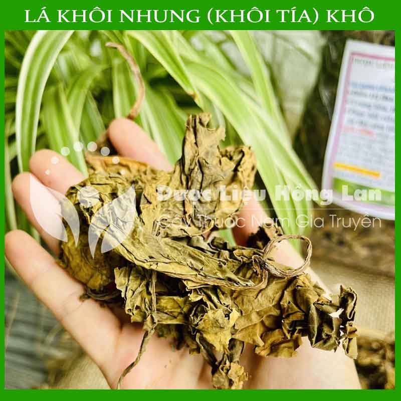 Lá Khôi Tía khô 500gram