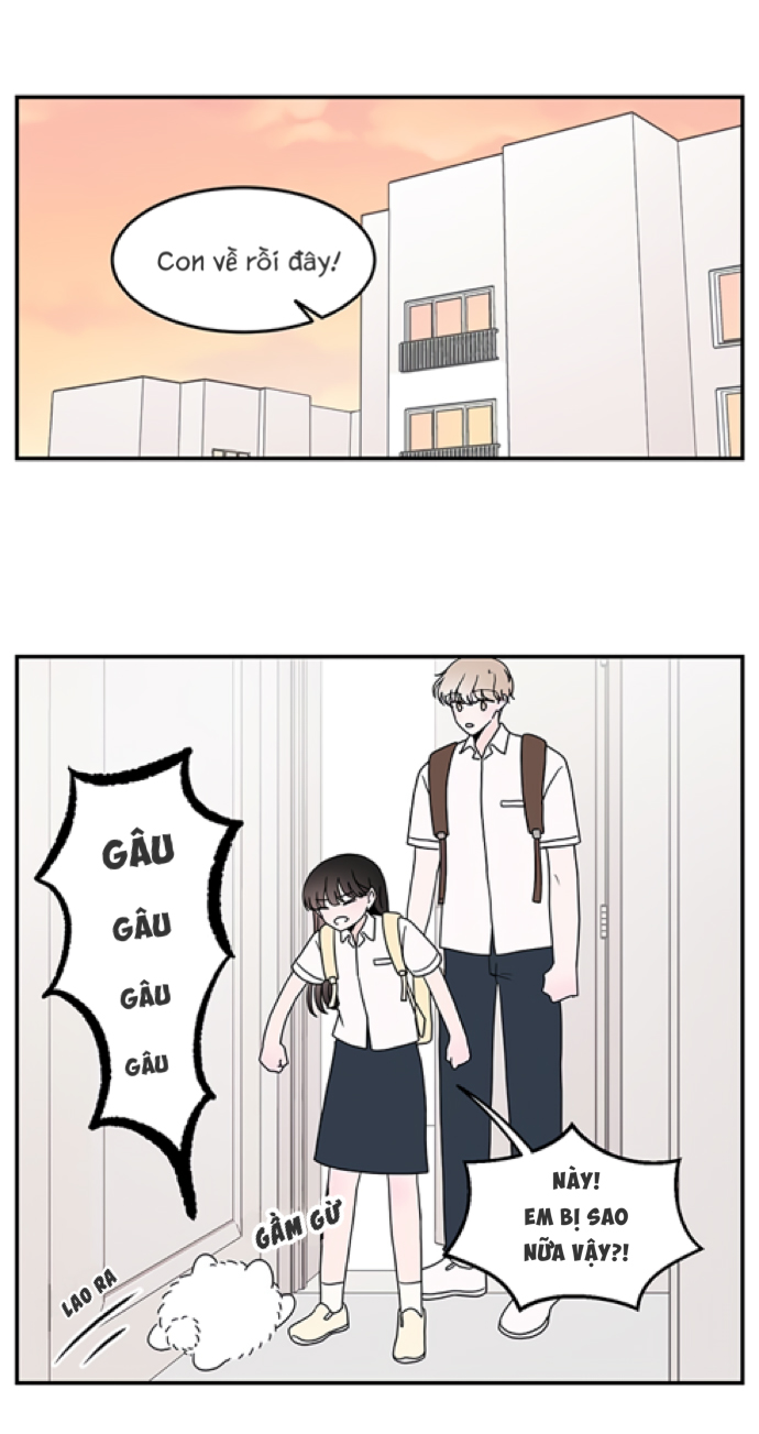 hội chứng nam phụ chapter 21 35