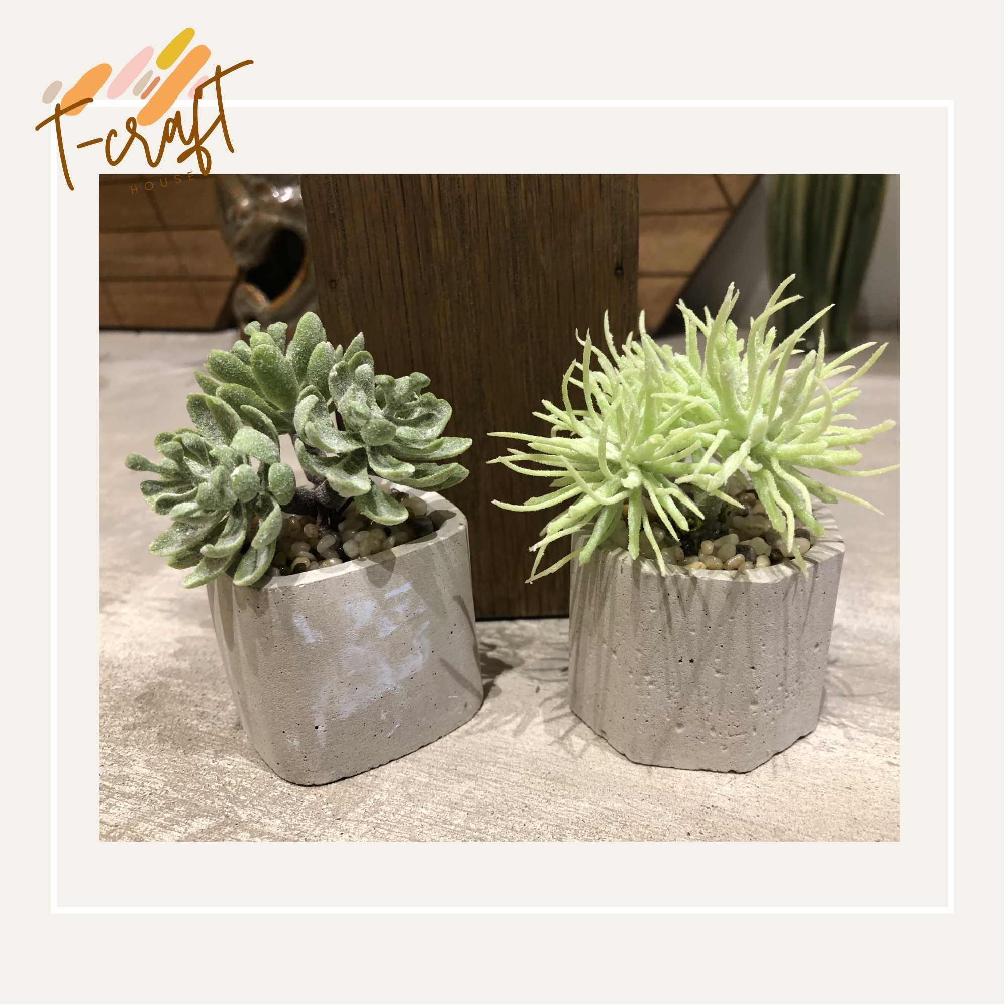 CÂY GIẢ CHẬU THẠCH CAO NHÀ LÀM NHIỀU MÀU SẮC CHO KHÔNG GIAN THÊM SỐNG ĐỘNG VÀ TƯƠI MÁT T.CRAFT HOUSE