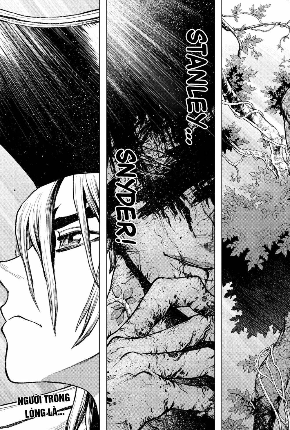 dr.stone - hồi sinh thế giới chapter 220 21