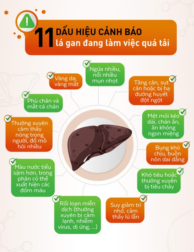 Combo 3 hộp Thực Phẩm Bảo Vệ Sức Khỏe Giải Độc Gan TPN