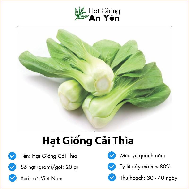 Hạt giống Cải Thìa ,Cải Chip, thu hoạch sớm, dễ trồng, nảy mầm cao, sinh trưởng khoẻ