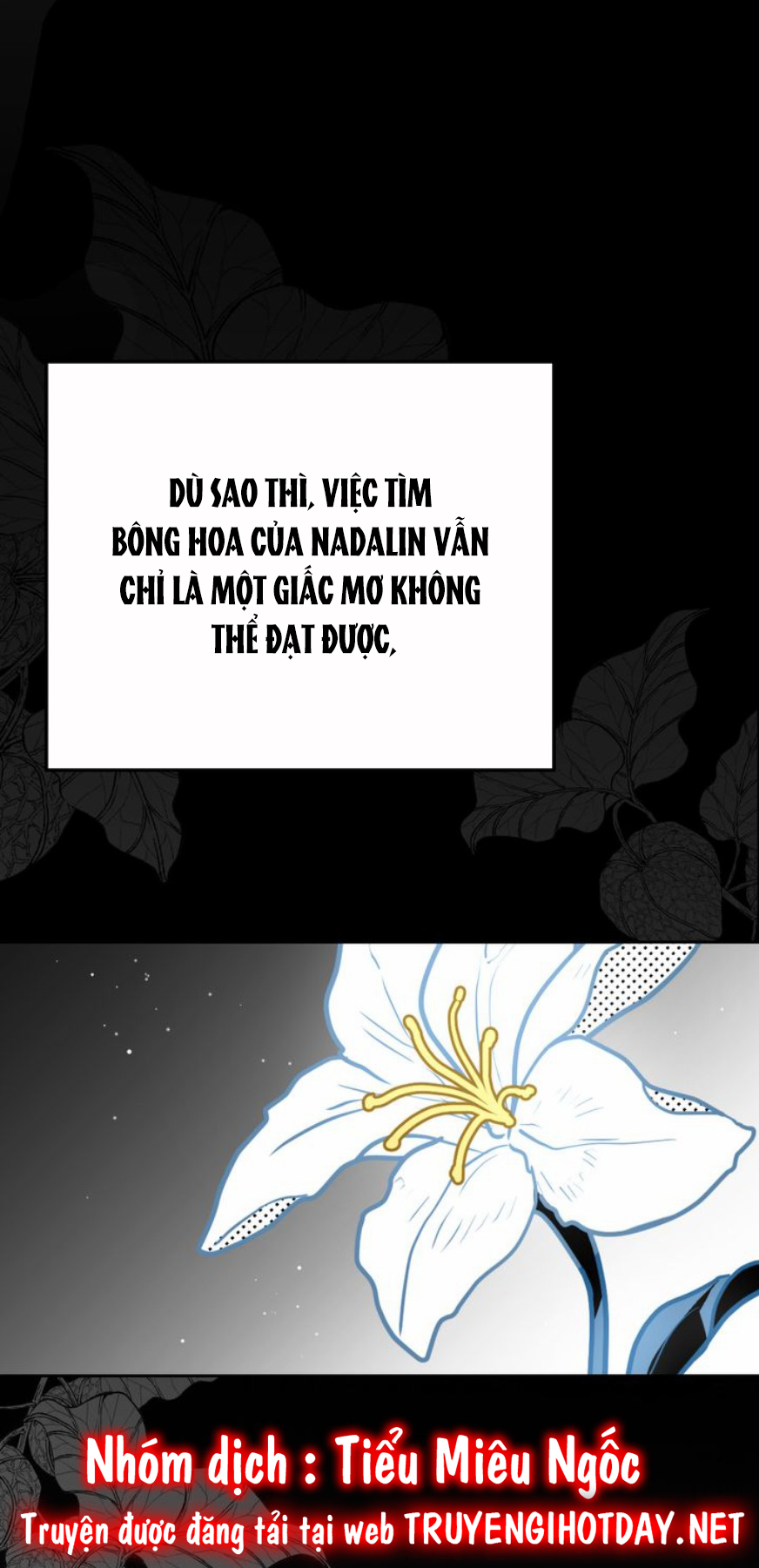 yêu cô công chúa sắp chết chapter 93 7