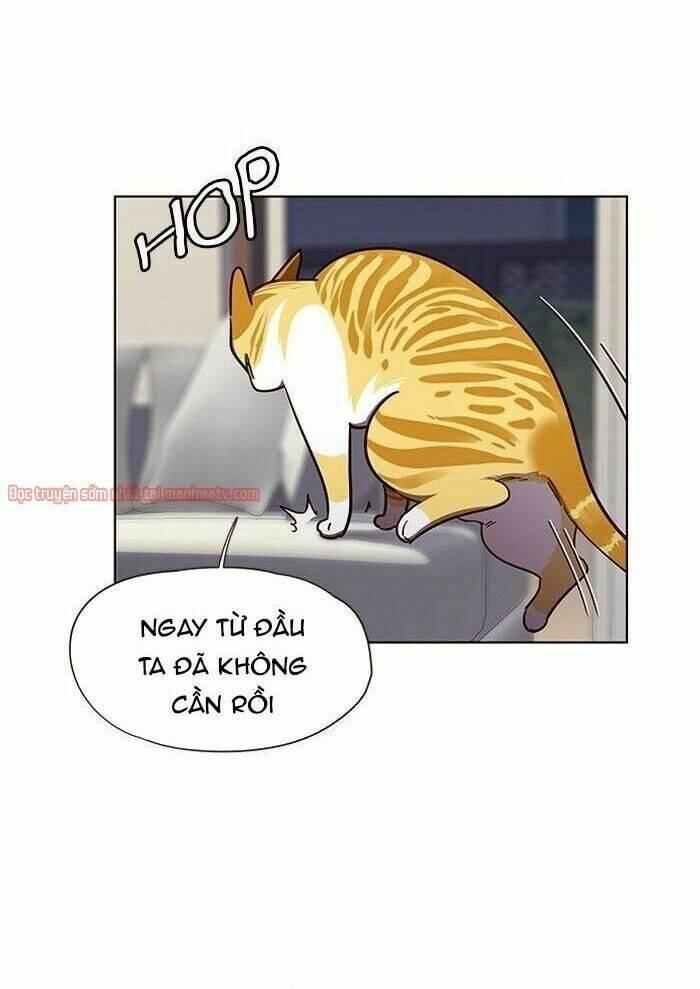biến thân thành mèo chapter 51 30