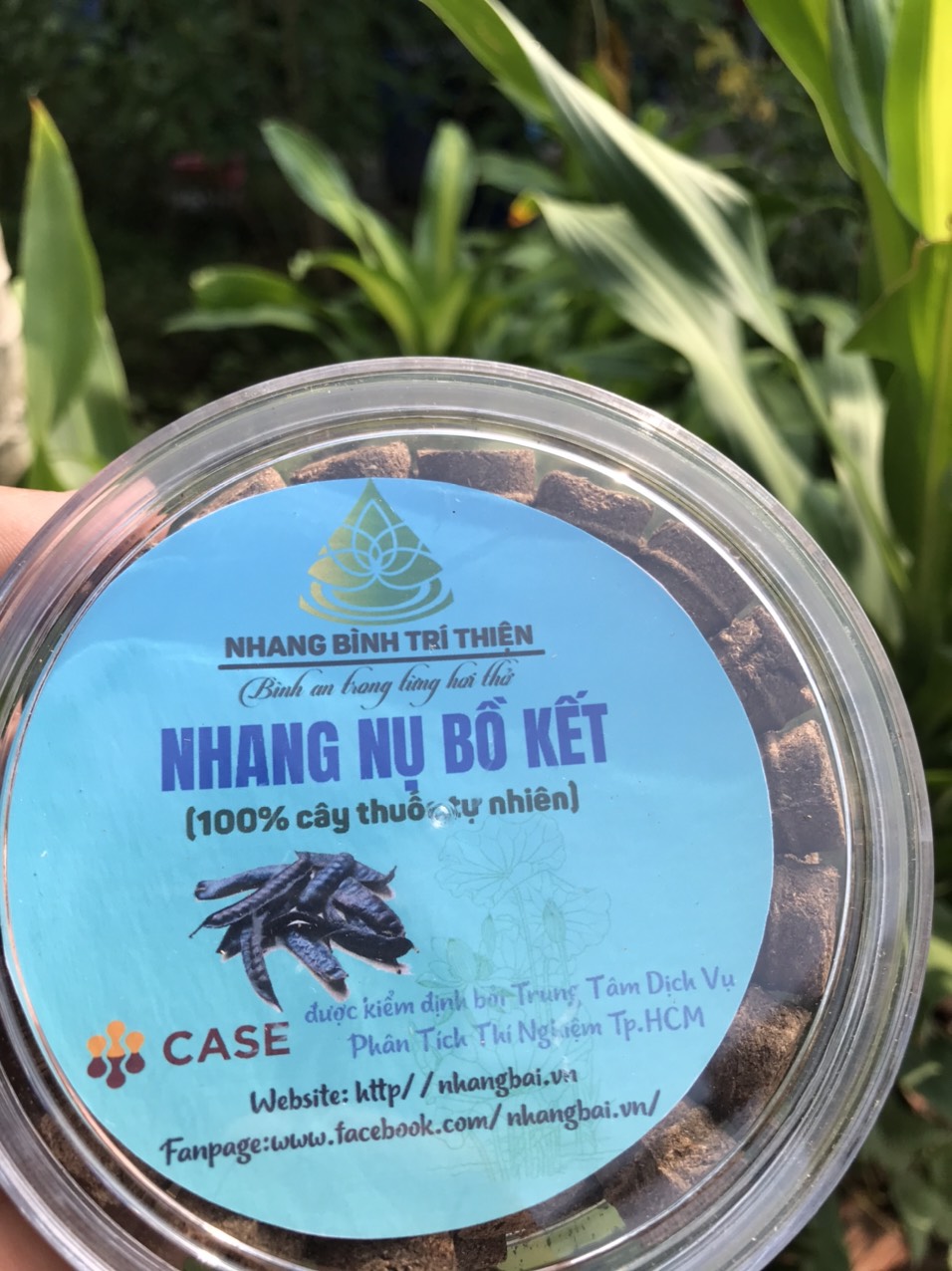 Nhang nụ bồ kết thơm dễ chịu (100% tự nhiên)