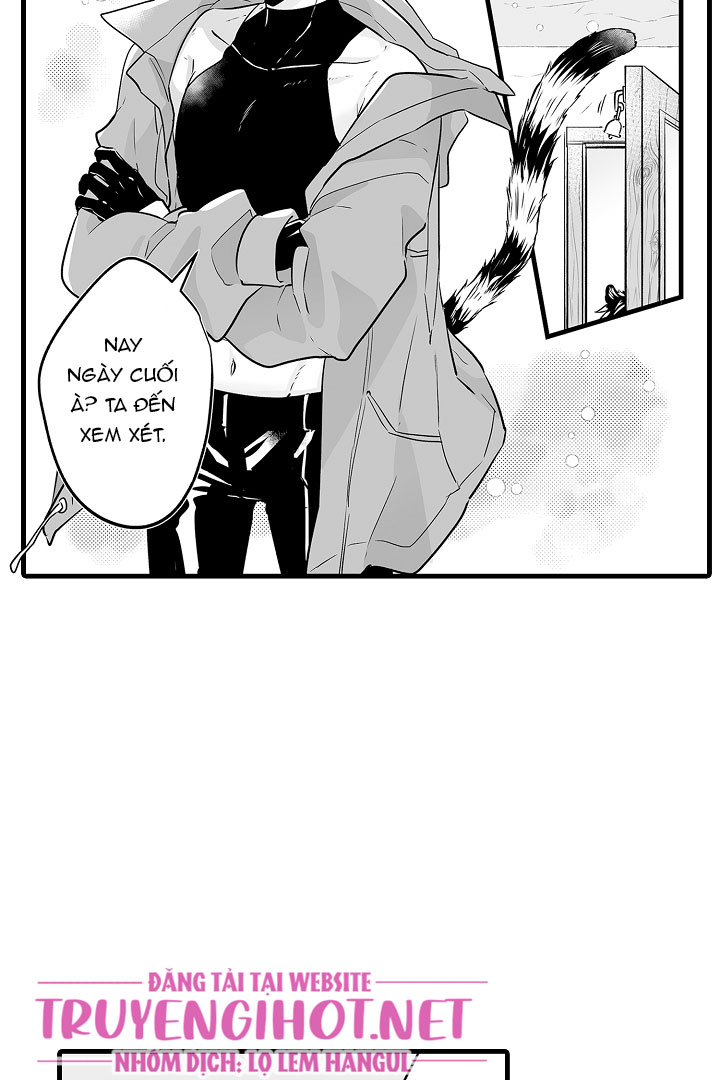 gấu ngủ đông chapter 12.2 8