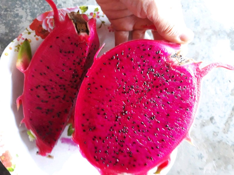 Thanh long ruột đỏ (loại 1)