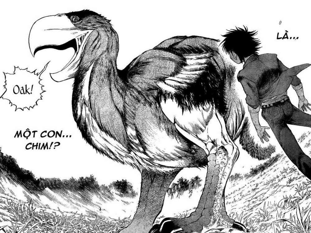 cage of eden chapter 1 44