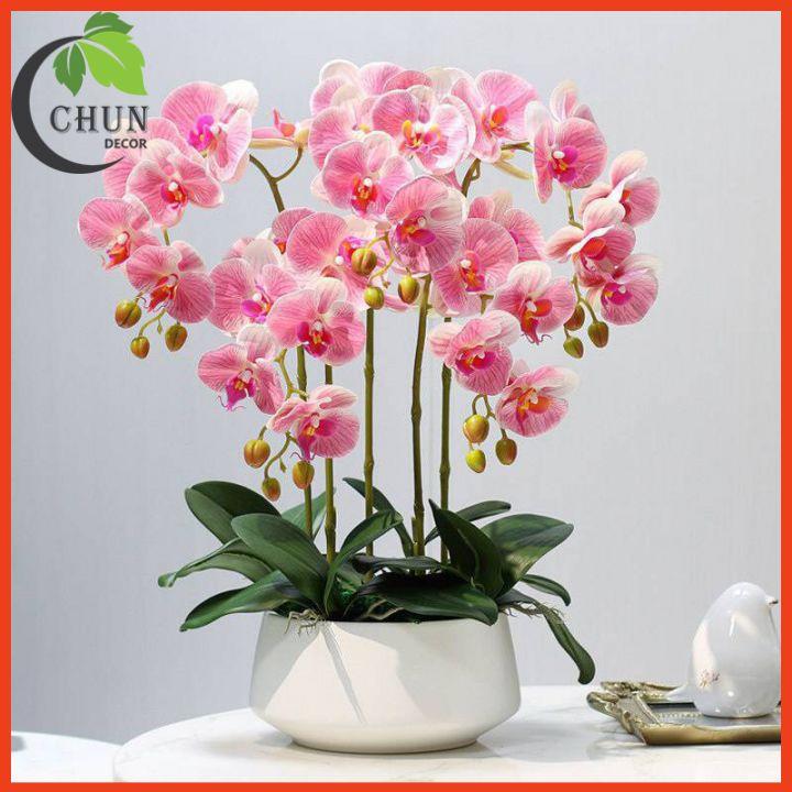 Chậu Lan Hồ Điệp Giả Cao 60cm Trang Trí Nhà Cửa, Cửa Hàng, Văn Phòng, Lớp Học CL5