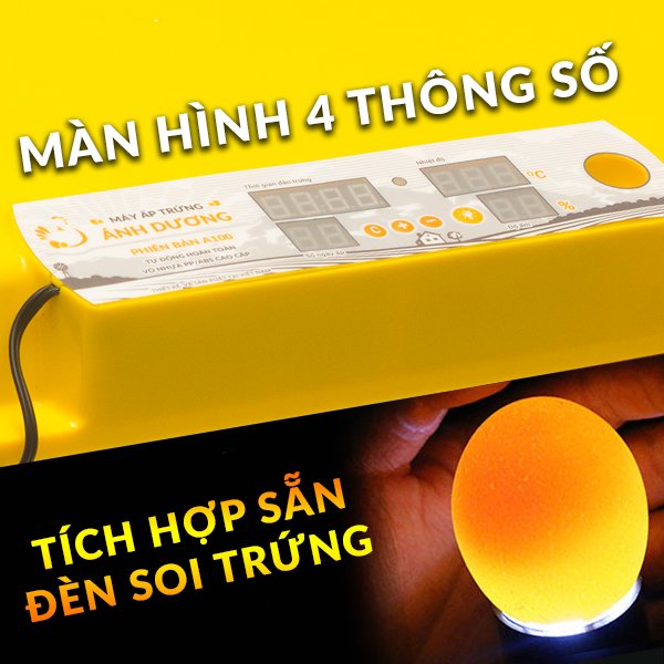 Máy ấp trứng mini A100 54 TRỨNG lắp ráp sẵn tự động hoàn toàn