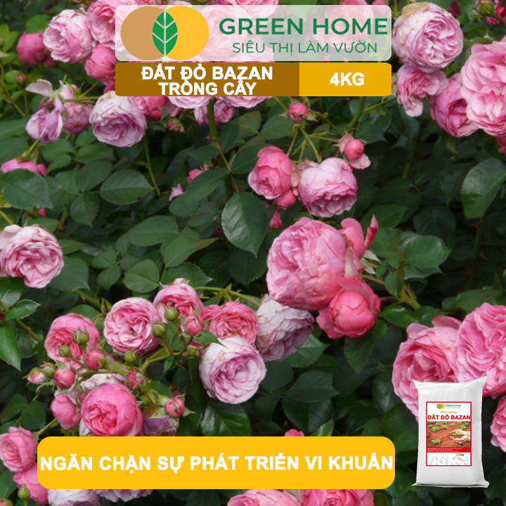 Đất Đỏ Bazan Greenhome, Bao 4Kg, Đất Trồng Cây, Bổ Sung Phân Hữu Cơ, Vi Sinh Trồng Hoa Hồng, Kiểng Lá, Rau