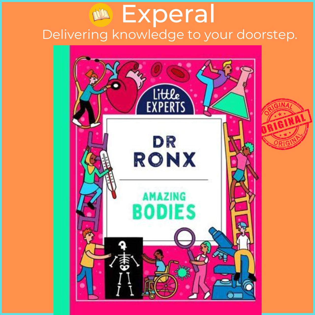 Hình ảnh Sách - Amazing Bodies - Little Experts by Ronx (author),Ashton Attzs (illustrator) (UK edition, Hardback)