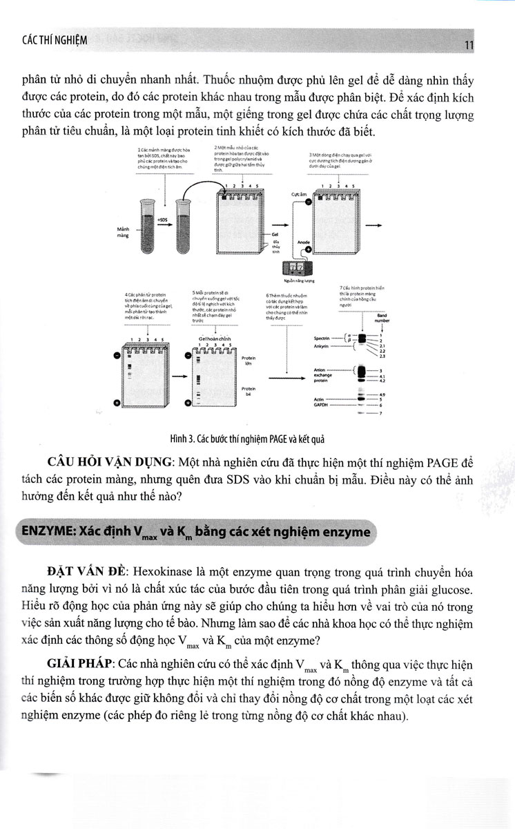 SINH HỌC TẾ BÀO - BÀI TẬP CHUYÊN ĐỀ- GDDT