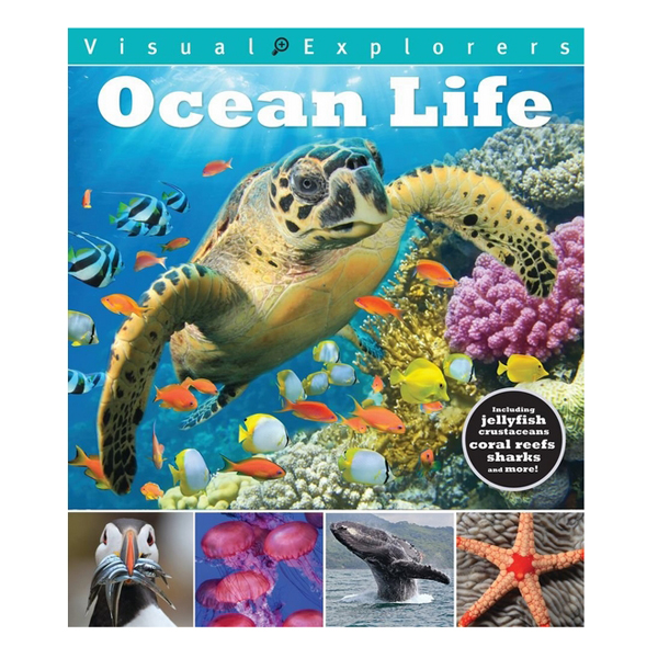 Ocean Life: Visual Explorers