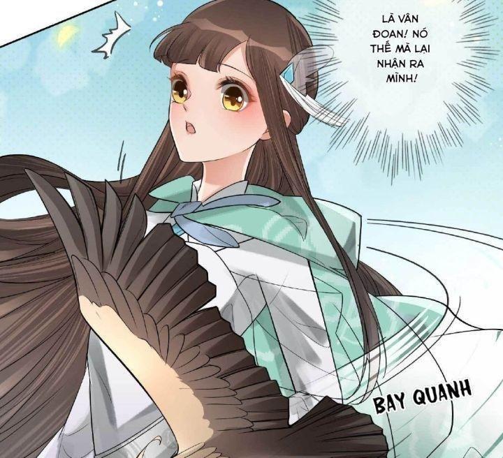 lấy thiên hạ làm sính lễ: vương phi lại trêu ta chapter 3 39