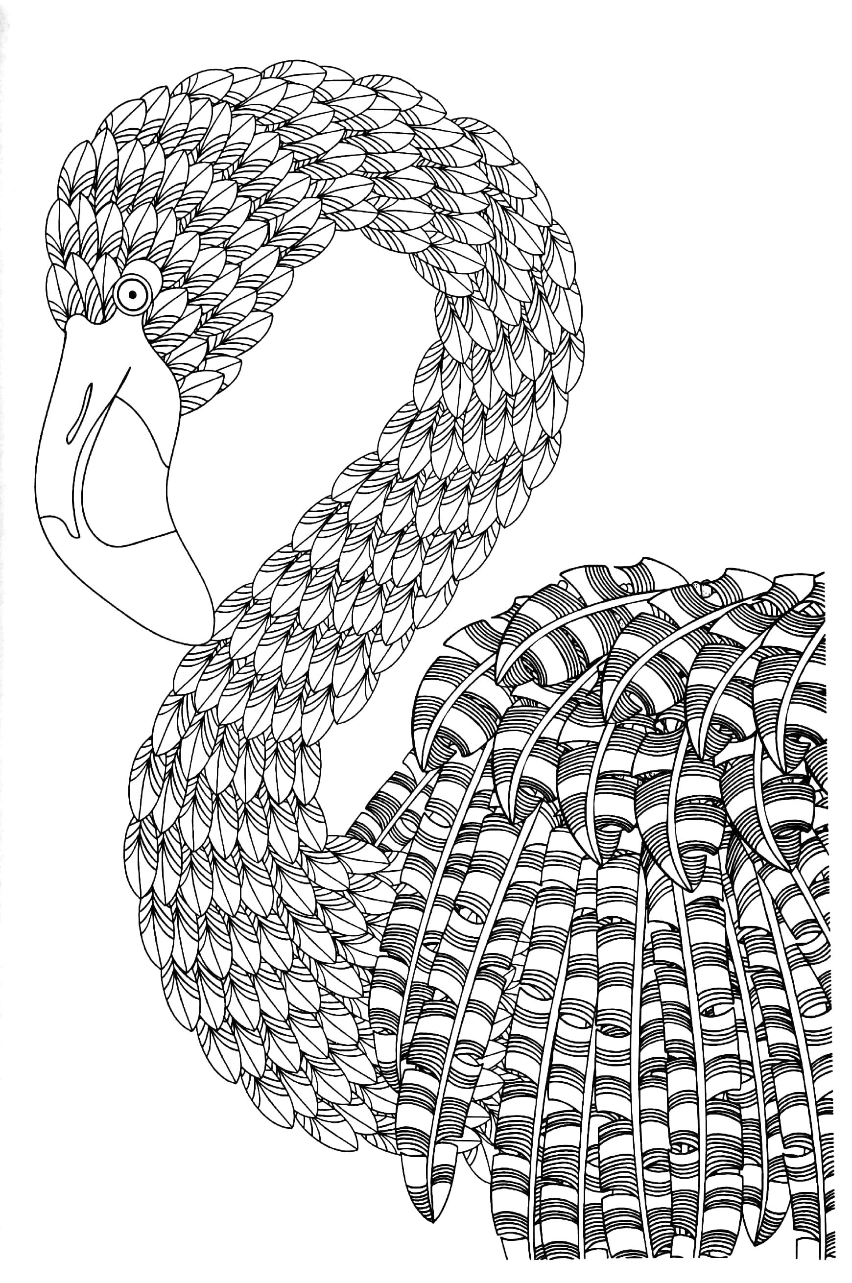 Enchanting Adult Colouring Series - Book 4