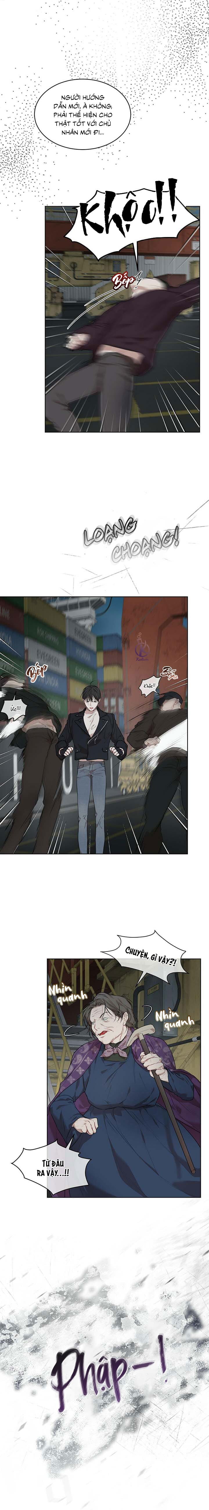 hình thái khởi sinh chapter 50 7