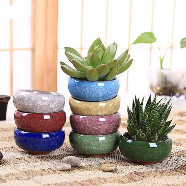 Chậu Trồng Cây Mini Trang Trí Bàn Làm Việc