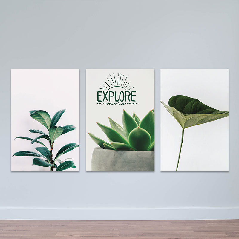 Bộ 3 tranh trang trí "Khám phá thiên nhiên" | Tranh treo tường hoa lá W3403 Canvas có viền
