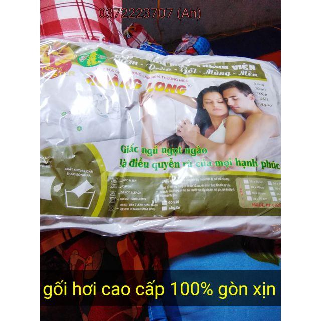 RUỘT GỐI HƠI CAO CẤP 100% GÒN CÓ KHÓA KÉO BAO GIẶT ĐỦ KÍCH THƯỚC.