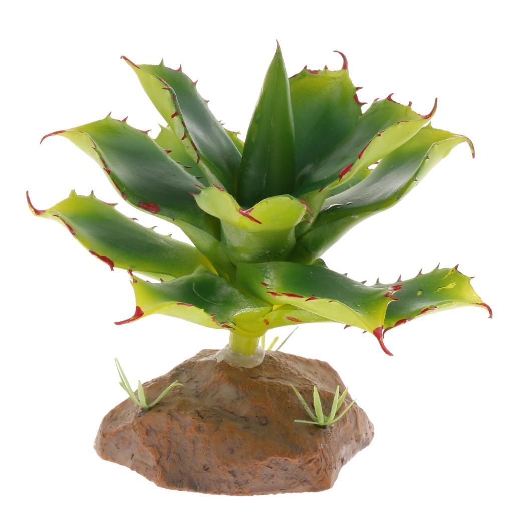 2 Piece Succulent Plant with Resin Base Reptile Terrarium Vivarium Ornament