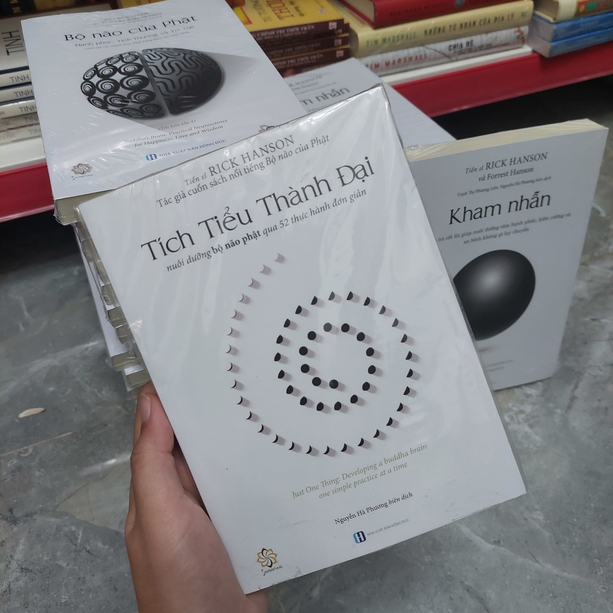 BỘ NÃO CỦA PHẬT, TÍCH TIỂU THÀNH ĐẠI, KHAM NHẪN -