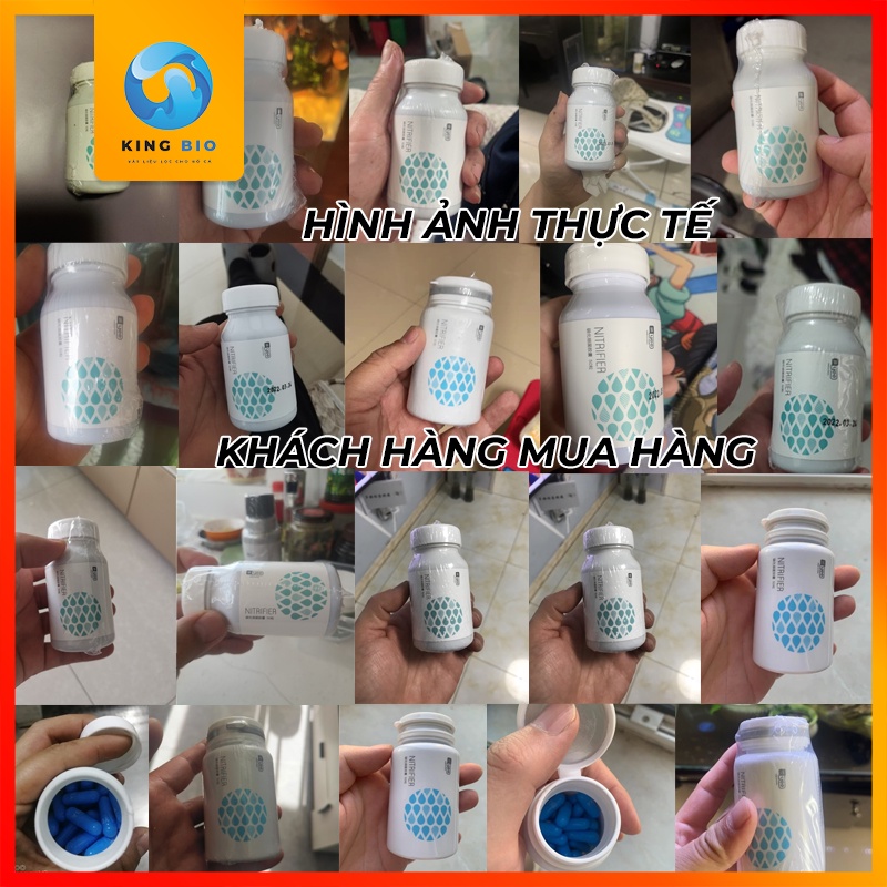 Viên nang vi sinh cho hồ cá YEE Nitrifier - làm sạch và trong nước bể cá