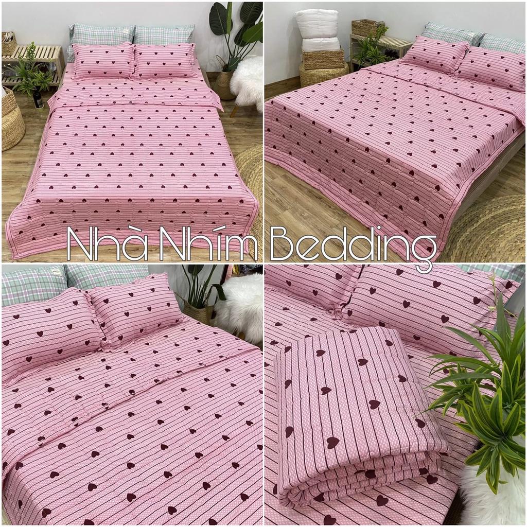 Bộ 5 Món Chăn Hè Ga Gối Mẫu Kẻ tim nhỏ