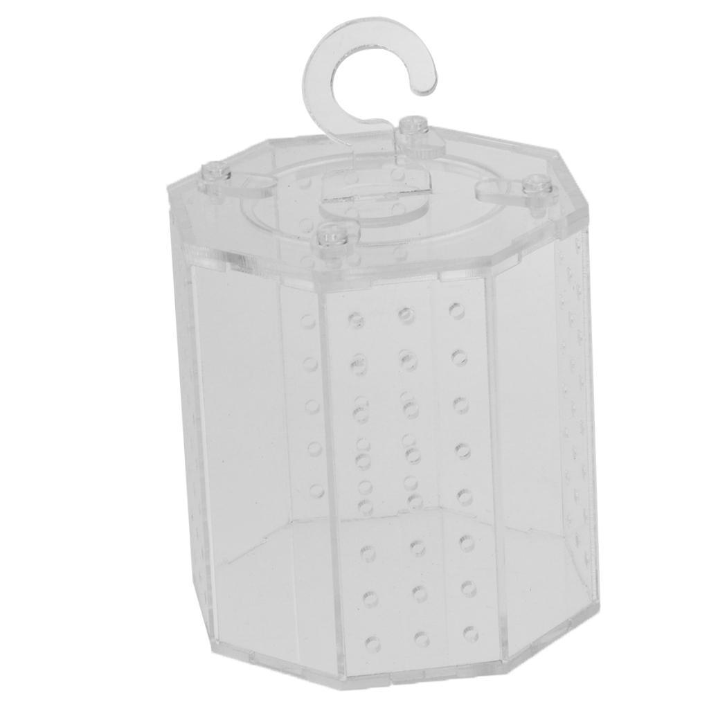 Spider Insect Reptile Tank Vivarium Cage Box Clear Acrylic Terrarium