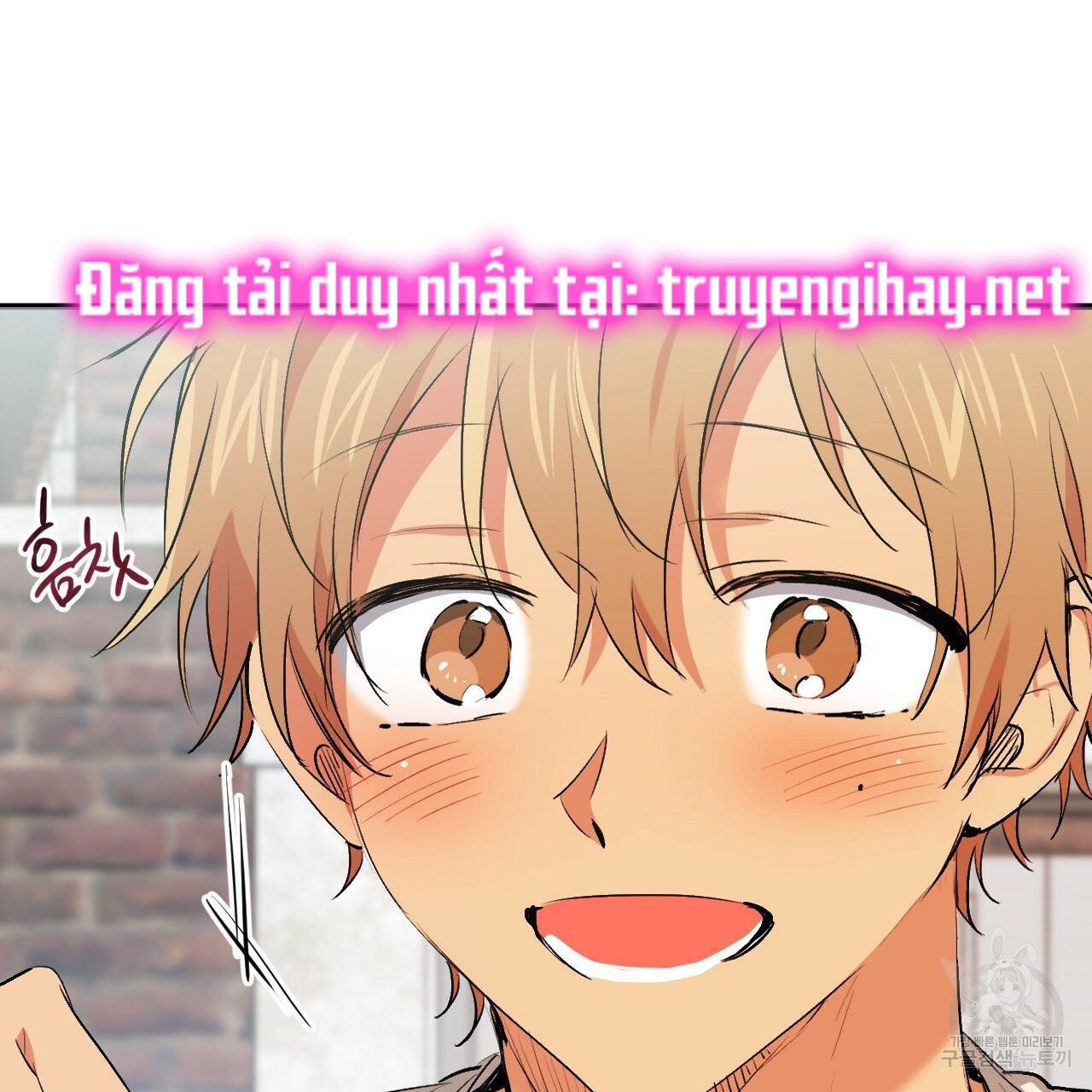 những chú thỏ của hapypy chapter 44 142