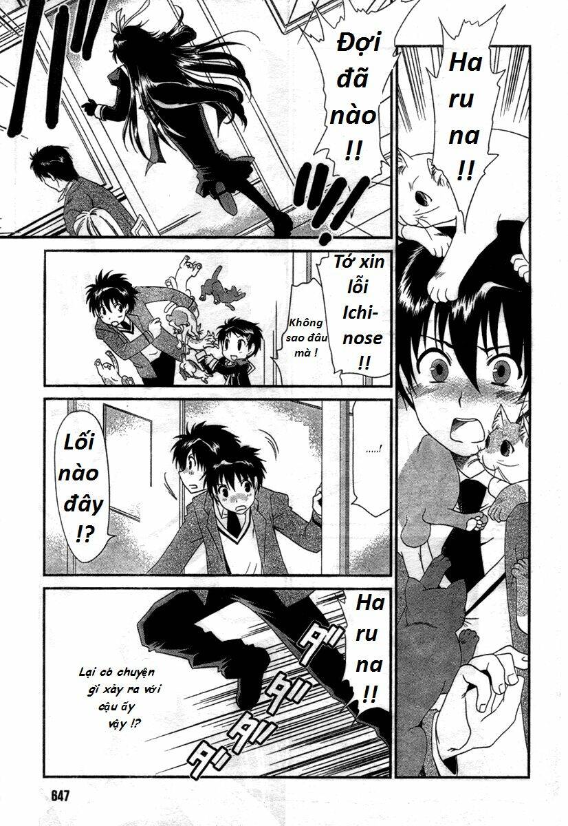 moriguchi orito no teiougaku chapter 11 9