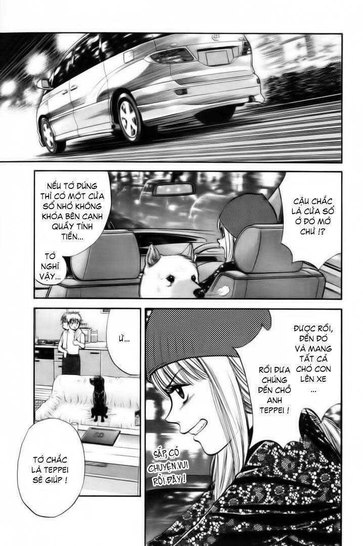 cô nàng yêu chó chapter 27 11