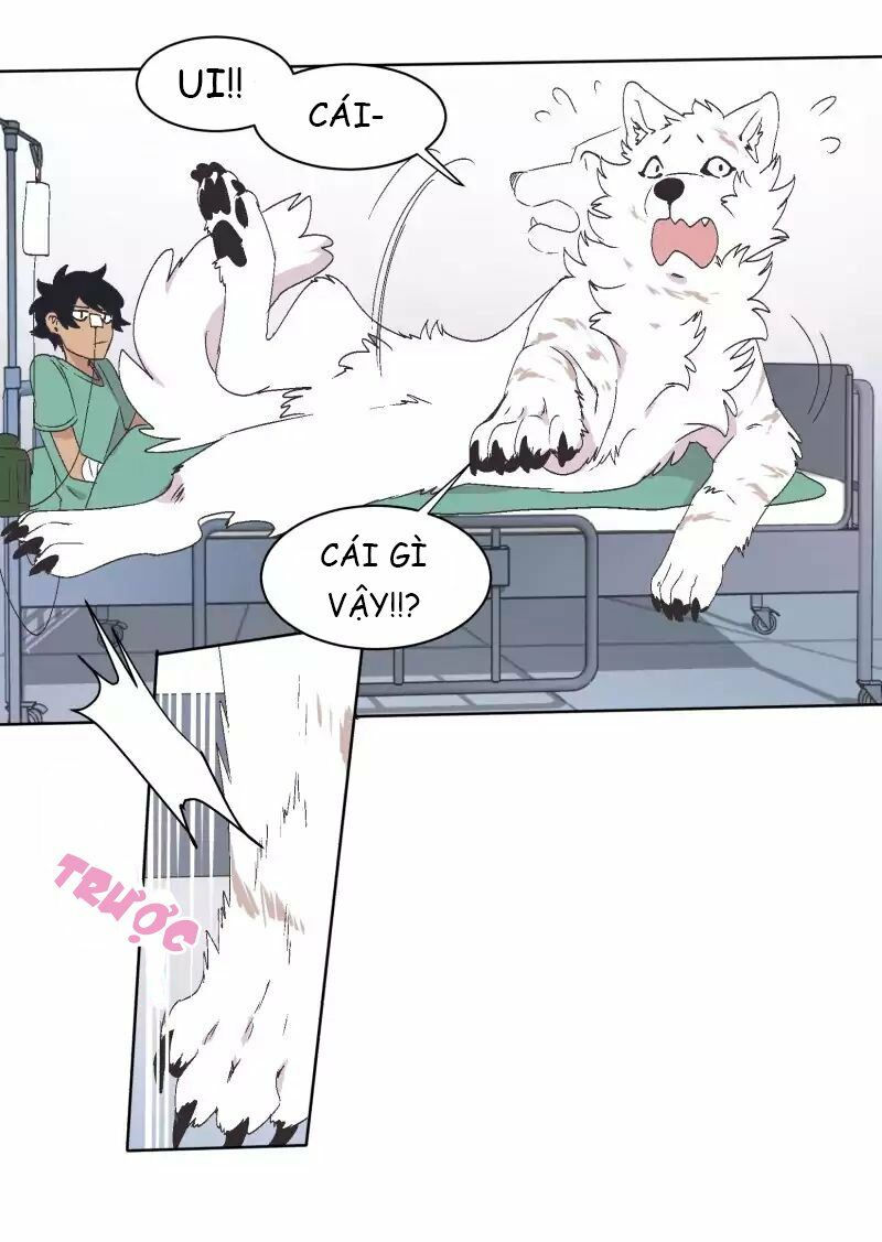 lumine - cội nguồn ánh sáng chapter 33 28