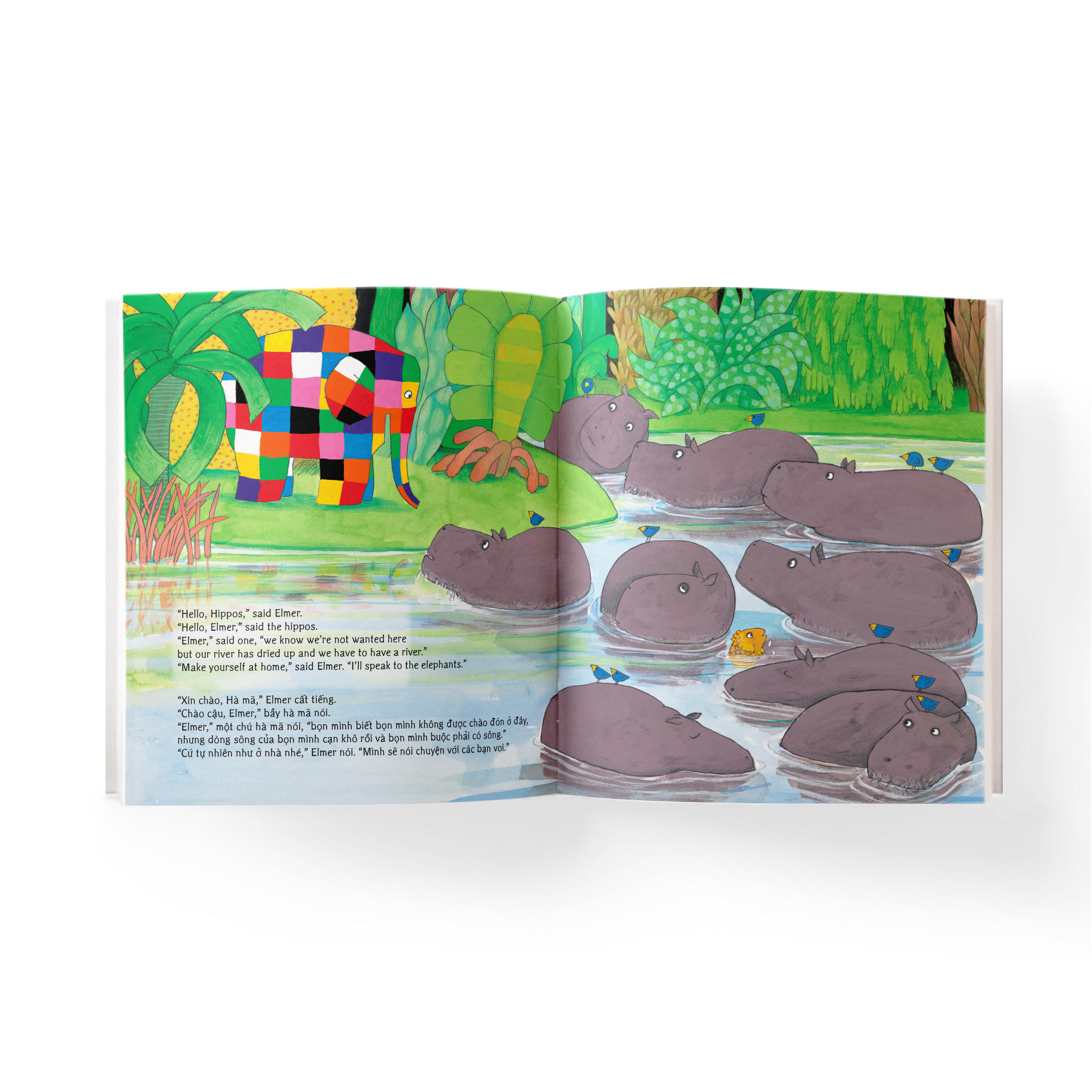 Combo 4 cuốn Elmer - Tặng 4 sticker đồng bộ