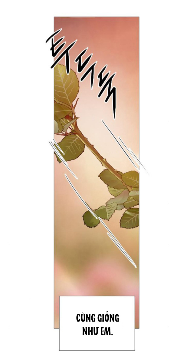 khóc đi hay là cầu xin tôi cũng được chapter 34.1 25