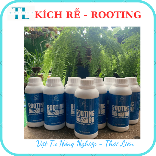 [Siêu kích rễ] Dung Dịch Kích Rễ ROOTING BA Dùng Cho Sen Đá, Kiểng Lá, Hoa Lan Và Cây Cảnh - Chai 500ml