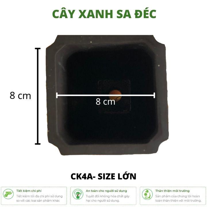 Bộ chậu vuông mini dáng cao CK4 màu trơn tối giản nhiều kích thước trồng bonsai mini, sen đá để bàn