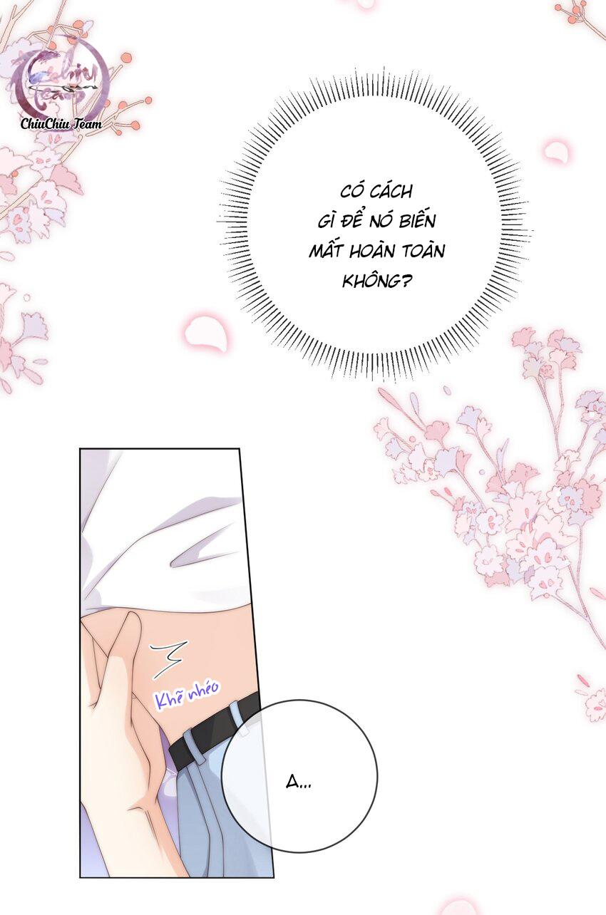 đảo thanh mai chapter 55 23