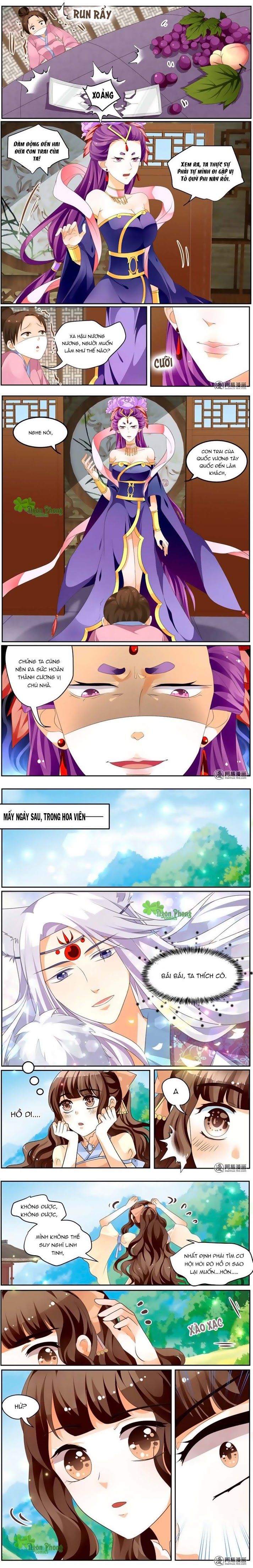 Hồ Thoại Hồ Thuyết chapter 23 - Trang 4