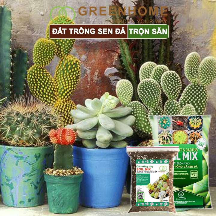 Đất Trồng Sen Đá Greenhome, Soil Mix, Bao 6kg, Trộn Sẵn, 85% Đá Khoáng, Phát Rễ Nhanh, Lên Màu Nhanh, Thoát Nước Tốt