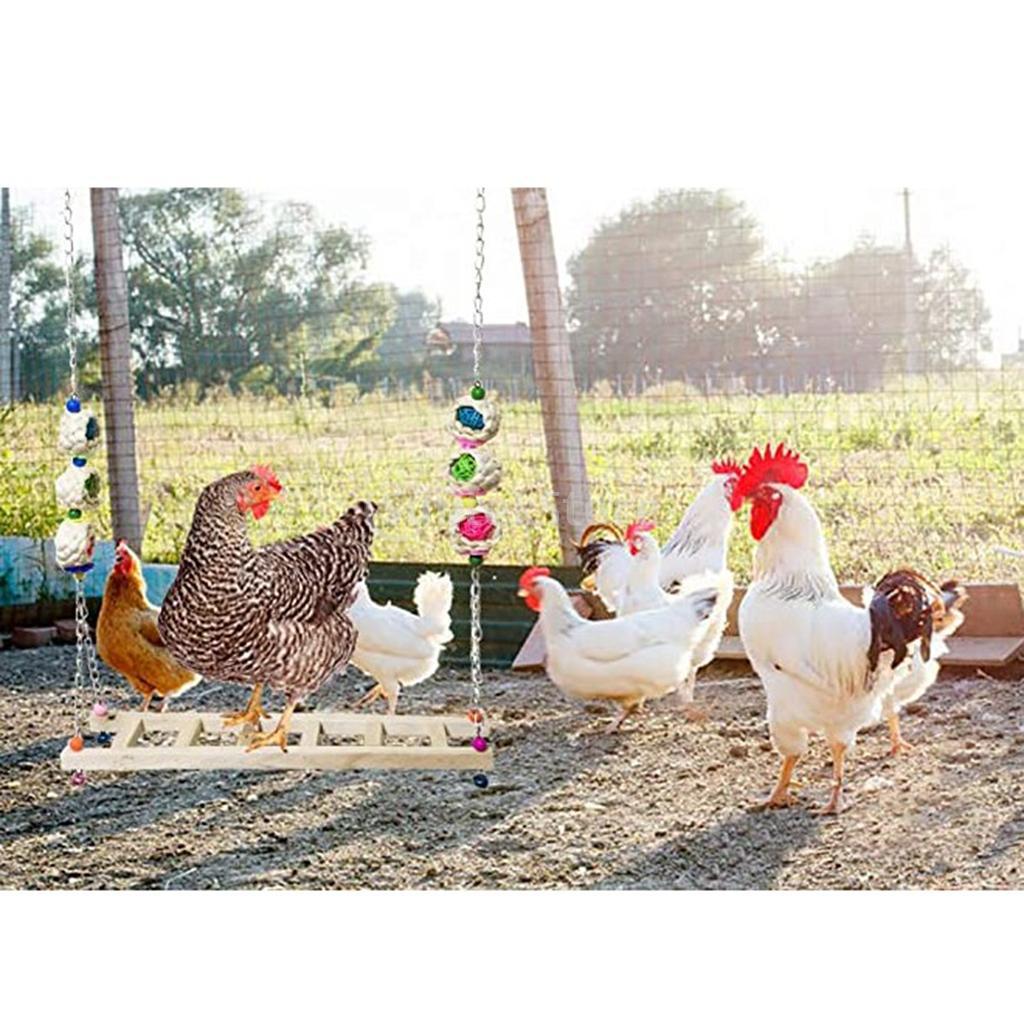 Chicken Swing Ladder Wooden Perch Handmade Bird Toy for Macaw Trainning