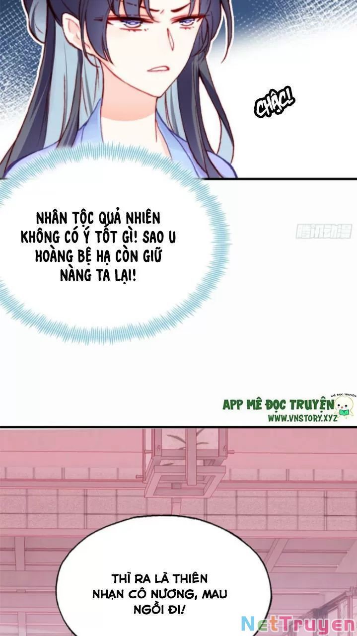 lại bị bệnh chiều chuộng quấn lấy chapter 29 15