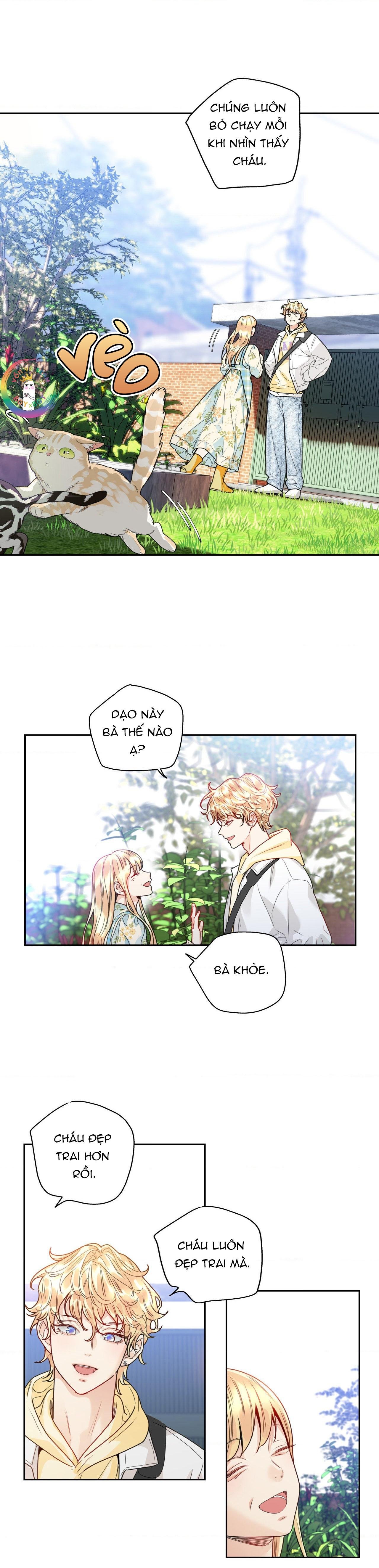 love is an illusion! superstar chapter 4 14