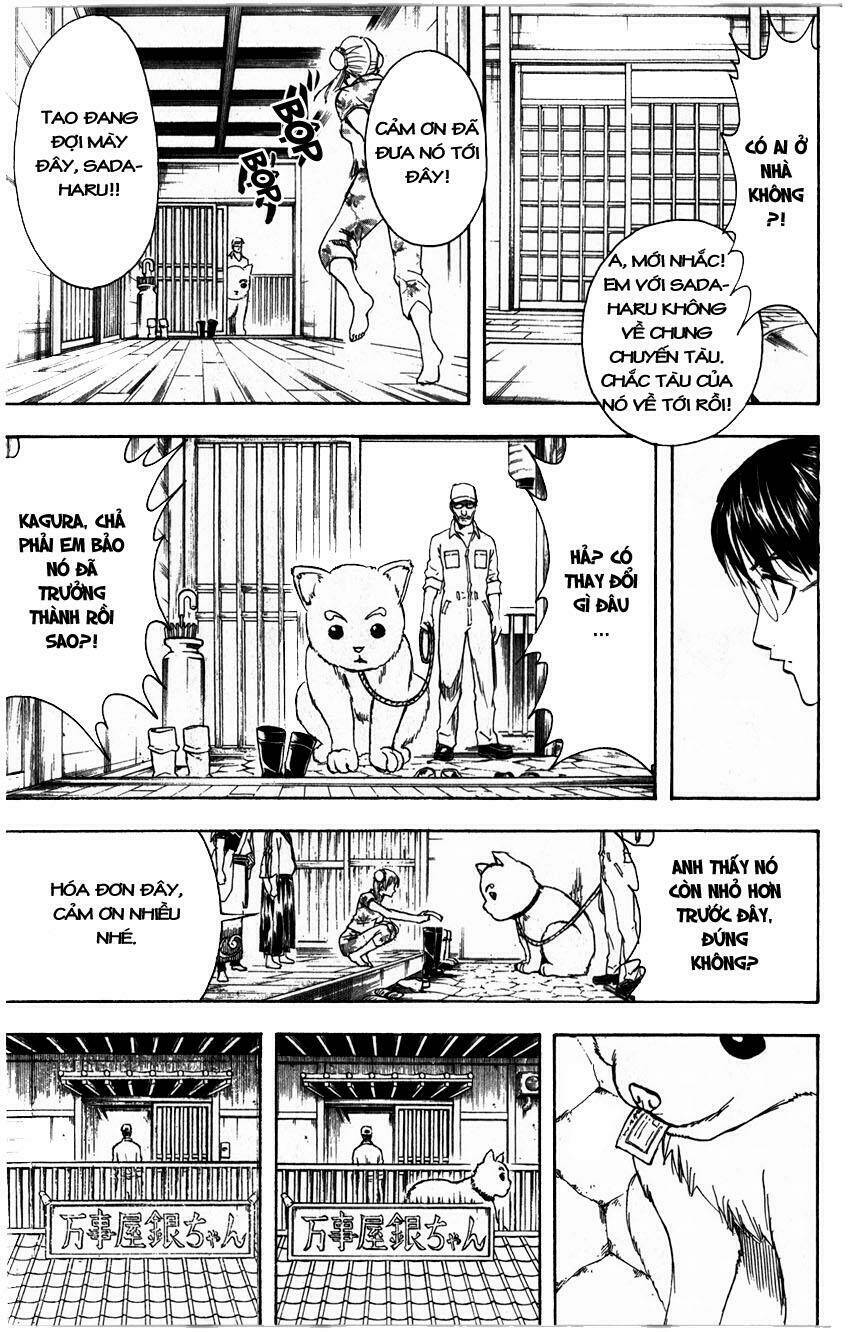 gintama - linh hồn bạc chapter 324 9