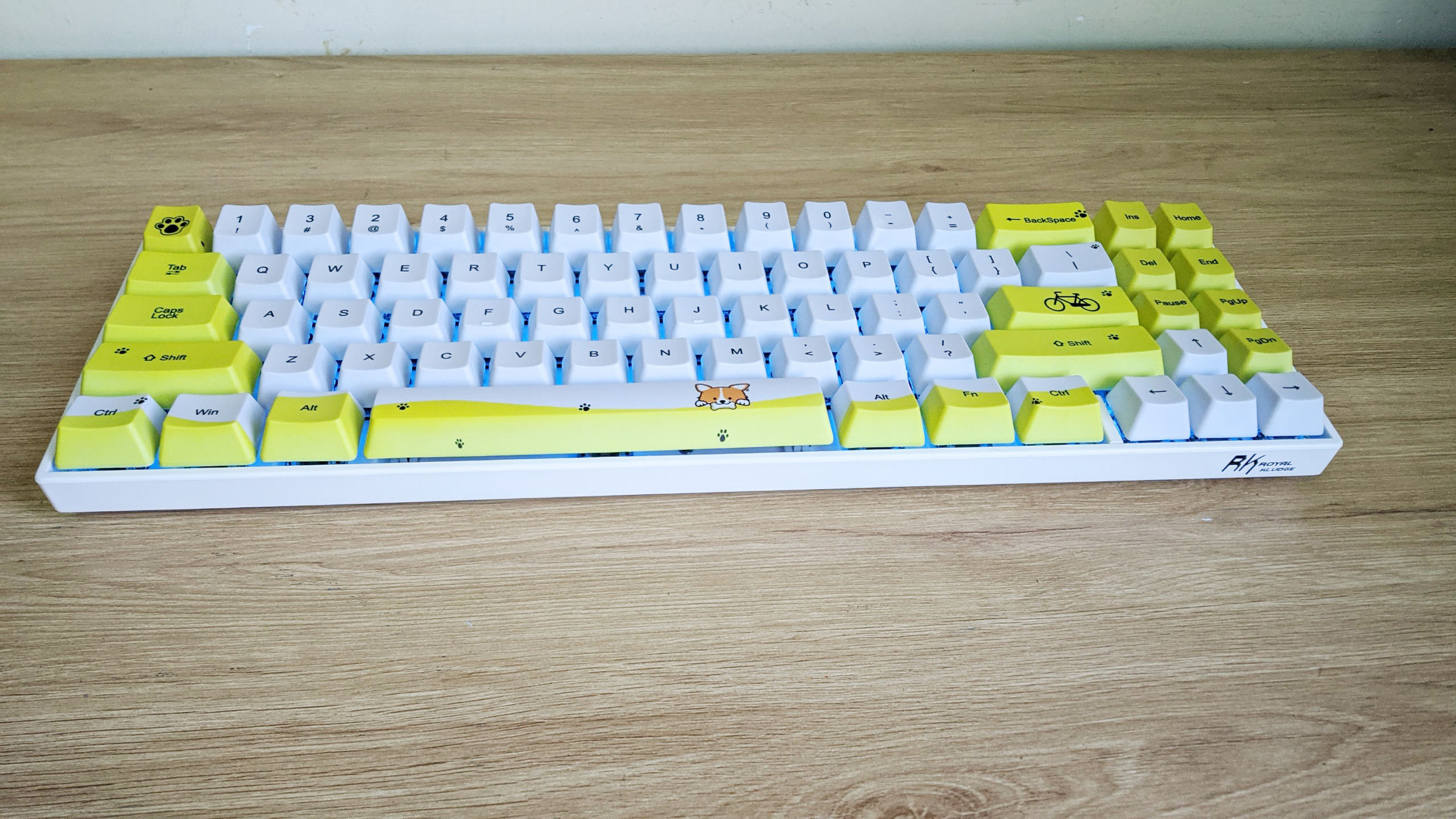 Bàn Phím Cơ Không Dây RK71 Phiên Bản Giới Hạn Nhiều Hoạ Tiết. Keycap PBT, công nghệ in Dye Sub. - Chính hãng Royal Kludge. Đủ màu sắc và Switch.