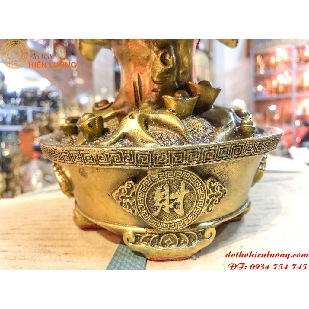 Cây Tiền Tài Lộc Có Lá Bằng Đồng